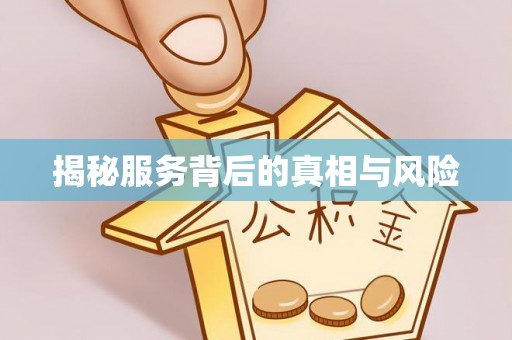 玉东揭秘服务背后的真相与风险