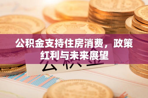 玉东公积金支持住房消费，政策红利与未来展望