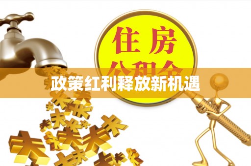 玉东政策红利释放新机遇