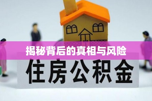 玉东揭秘背后的真相与风险
