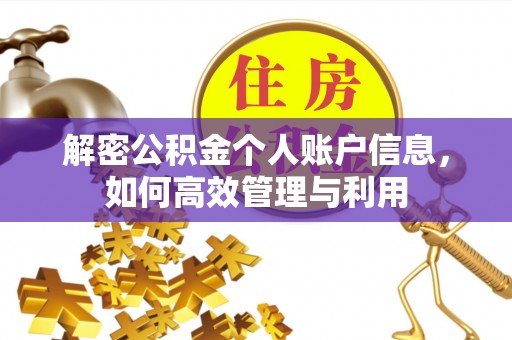 玉东解密公积金个人账户信息，如何高效管理与利用