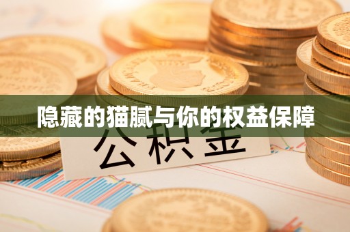 玉东隐藏的猫腻与你的权益保障