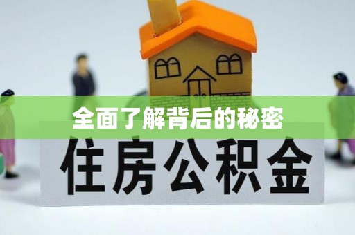 玉东全面了解背后的秘密