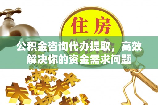 玉东公积金咨询代办提取，高效解决你的资金需求问题