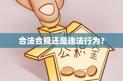 玉东合法合规还是违法行为？