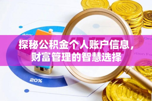 玉东探秘公积金个人账户信息，财富管理的智慧选择