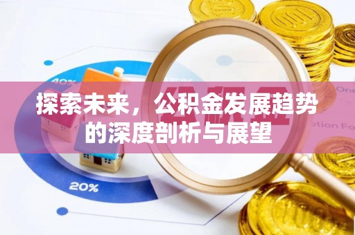 玉东探索未来，公积金发展趋势的深度剖析与展望