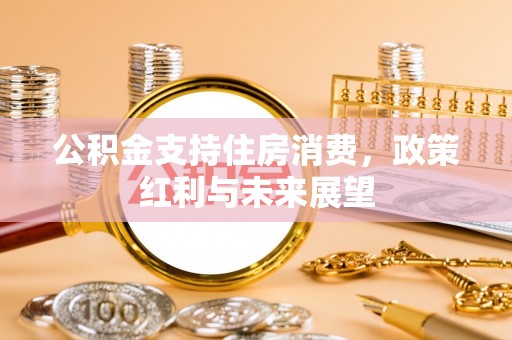 玉东公积金支持住房消费，政策红利与未来展望