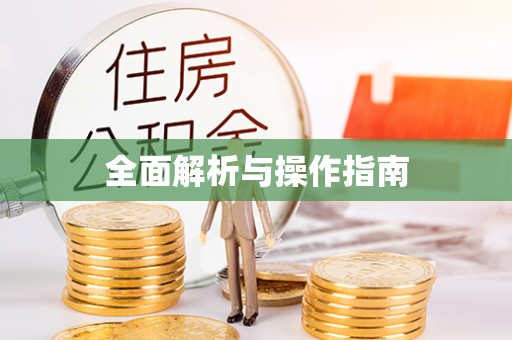 玉东全面解析与操作指南