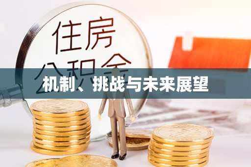 玉东机制、挑战与未来展望