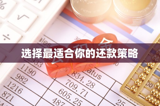 玉东选择最适合你的还款策略
