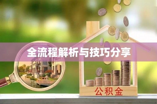 玉东全流程解析与技巧分享