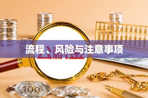 玉东流程、风险与注意事项